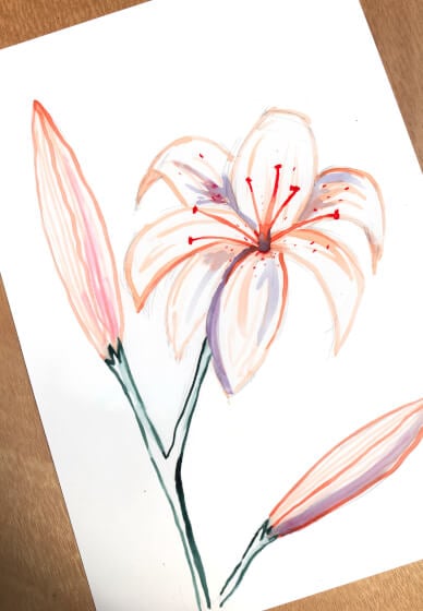 Meditative Drawing and Painting: Lined Lillies