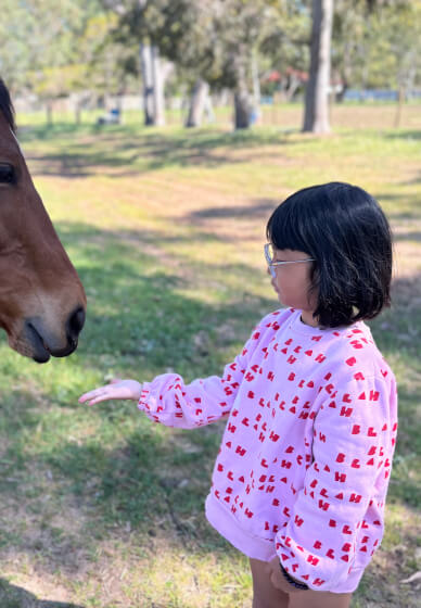 Meet the Farm Animals at Millgum Farm in the Swan Valley