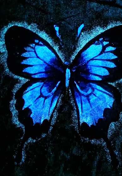 Midnight Butterfly - Glow in the Dark Painting Workshop