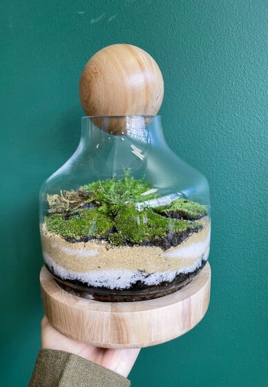 Mindful Making Workshop: Mini Moss Terrarium
