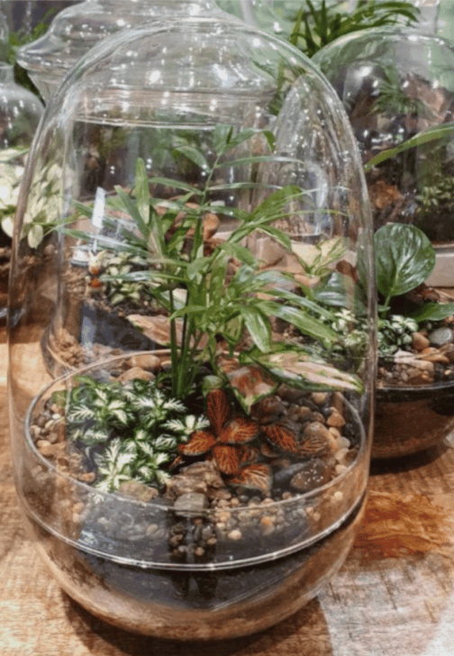 Mindful Making Workshop: Mini Moss Terrarium