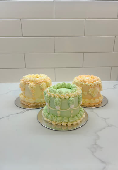 Mini Bento Cake Decorating Class