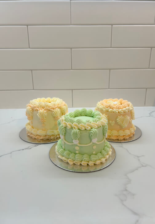 Mini Bento Cake Decorating Class