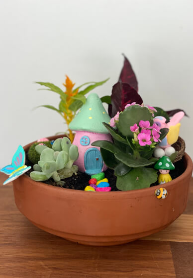 Mini Fairy Garden or Dino Garden Kids Workshop