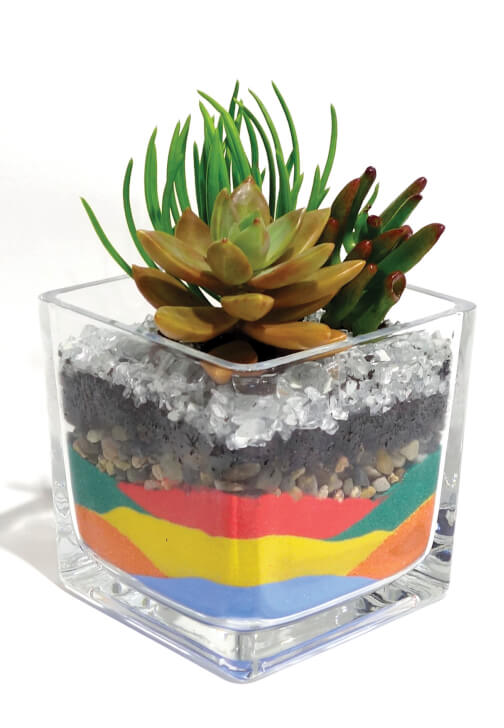 Mini Succulents Sand Terrarium Making Workshop