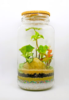 Mini Worlds: Terrarium Workshop for Kids and Teens South Canberra
