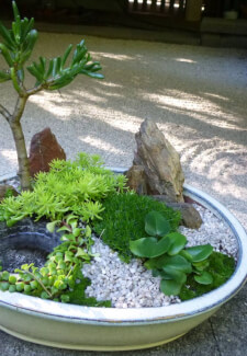 Miniature Japanese Garden Workshop