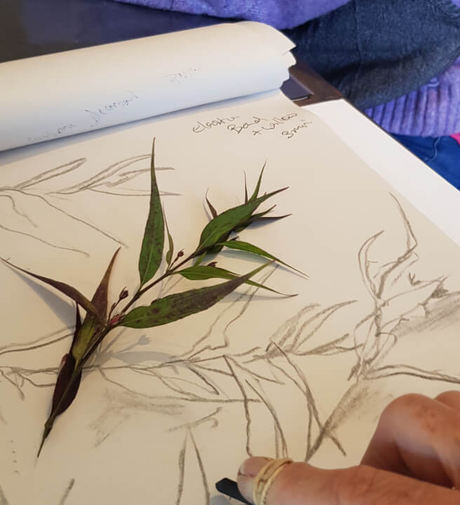 Mixed Medium Beginners Art Class