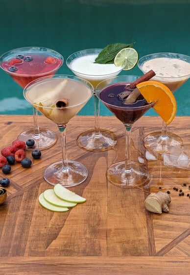 Mobile Cocktail Class: Make Five Cocktails
