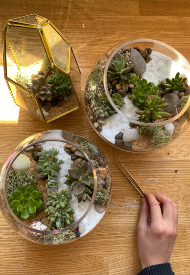 Mobile Succulent Terrarium Workshop