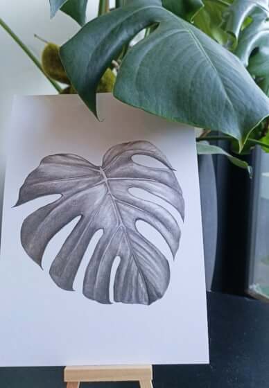 Monstera Drawing Class for Kids