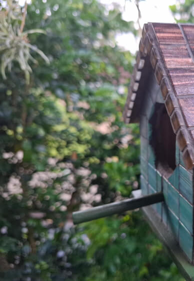 Mosaic Birdhouse Workshop