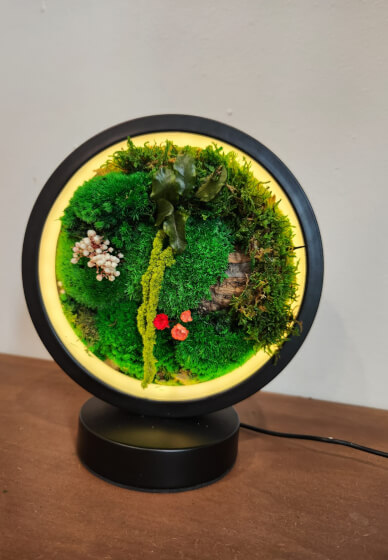 Moss Art Table Light Workshop