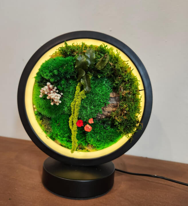 Moss Art Table Light Workshop