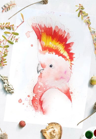 Native Australian Birds: Watercolour Workshop