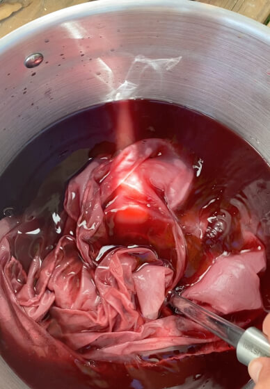Natural Plant Dye Workshop