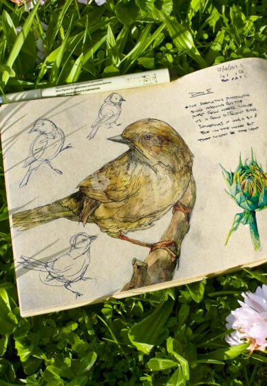 Nature Journalling Workshop