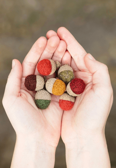 Needle Felted Acorn Workshop
