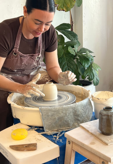 Next Steps on the Wheel: Form and Function Course