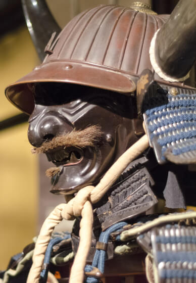 Ninja Culture Ninjitsu Master Class