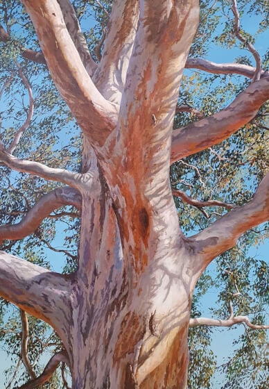 Oil and Acrylic Painting Course: Gumtrees