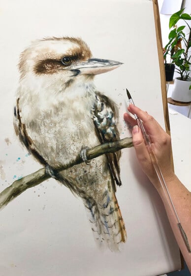 Paint a Kookaburra - Watercolour Class
