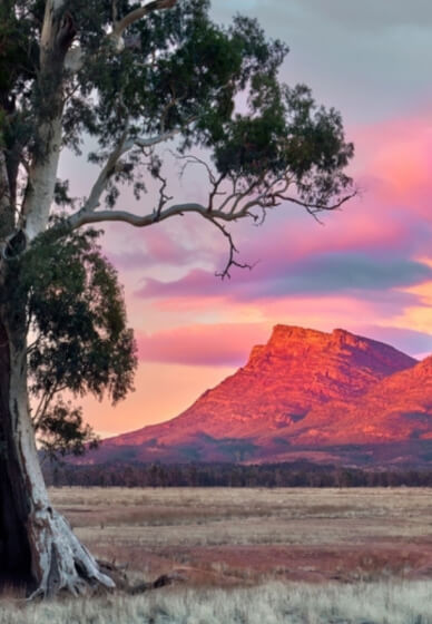Paint and Sip the Pilbara Class