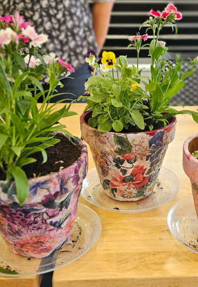 Paint, Stick and Plant Workshop