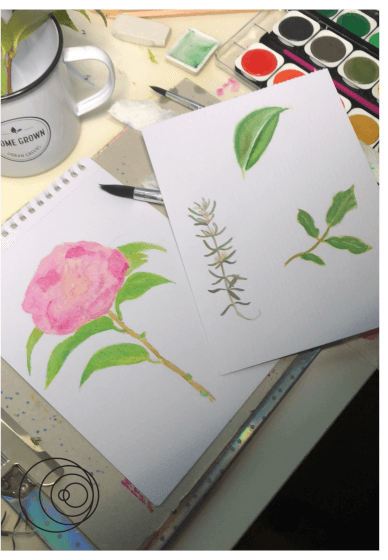 Paint Watercolour Botanicals for Teams