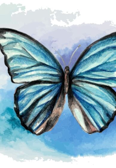 Paint Watercolour Butterflies for Kids (7+ Years)