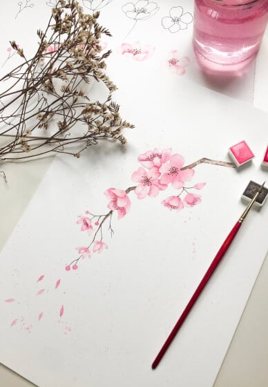 Paint Watercolour Sakura Cherry Blossoms
