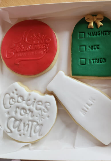 Paint Your Own Cookies for Santa Workshop