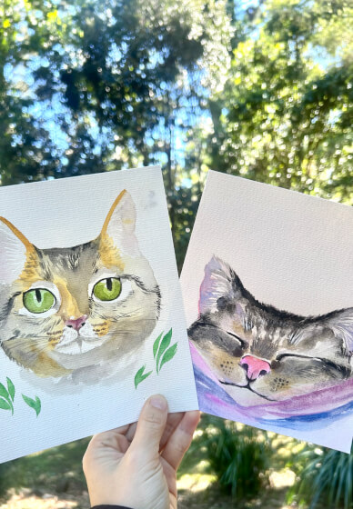 Paint Your Pet Class