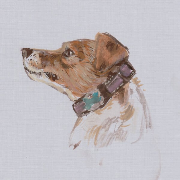Paint and Sip Classes Newcastle