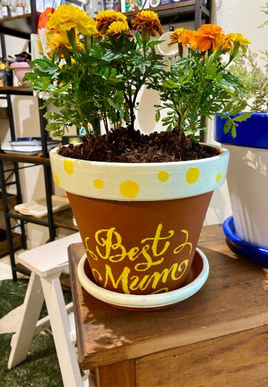 Painted House Number Pot Class