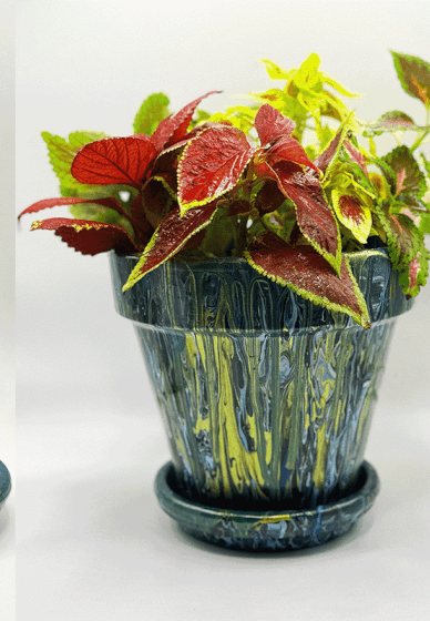 Paints, Pots and Plants NDIS Friendly Class