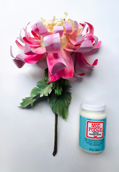 Paper Flower Crafting Workshop