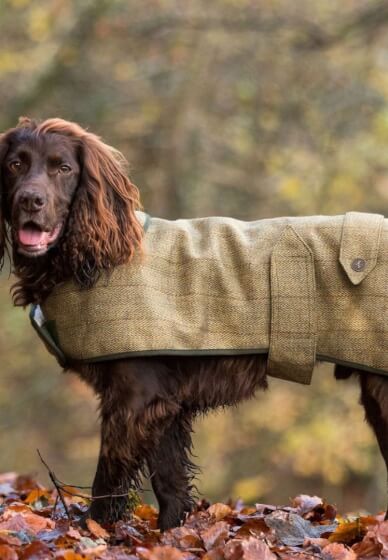 Parent Child Sewing Workshop: Perfect Pooches Coat