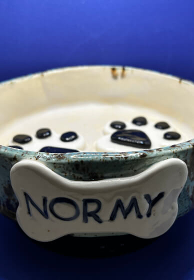 Personalised Ceramic Pet Bowl Workshop
