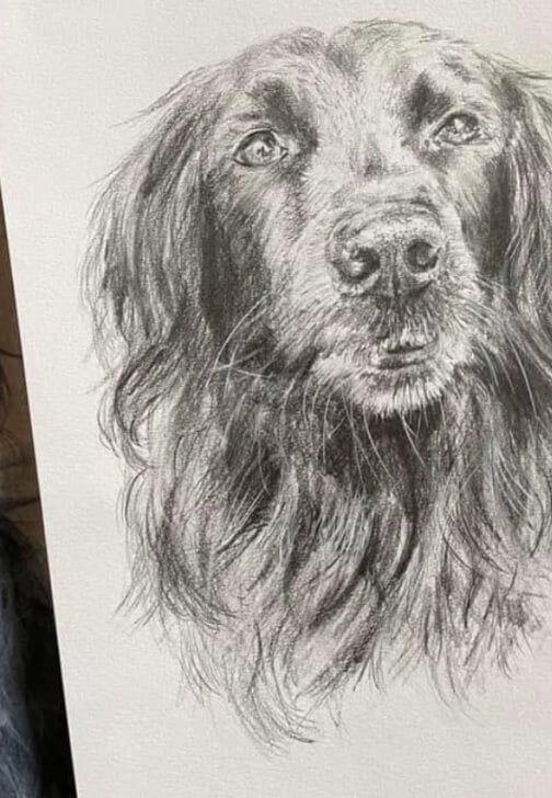 Pet Portrait Workshop