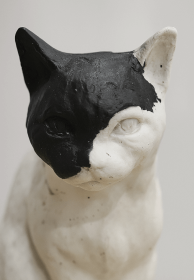Pet Sculpture Portrait in Clay Workshop