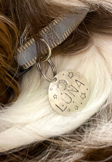 Pet Tag Making Workshop