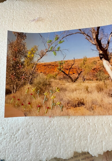 Photo Embroidery Class