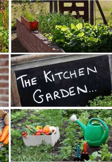 Visual Kitchen Garden Planning Workshop