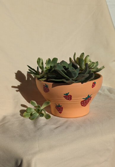 Plant and Paint Workshop: Succulent Bowl