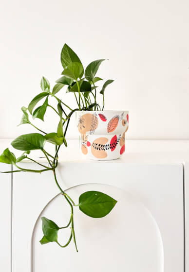 Plant Pot Painting Workshop
