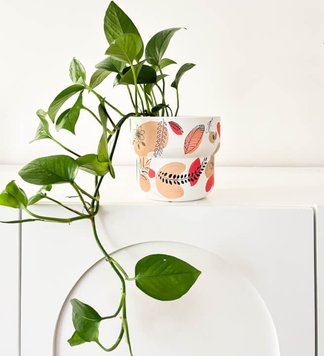 Plant Pot Painting Workshop