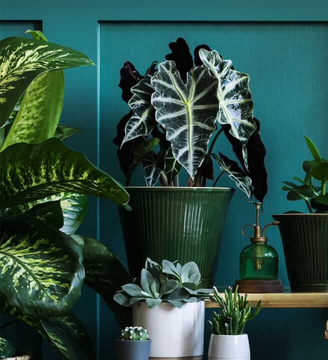 Plants, Pots and Container Gardening Workshop