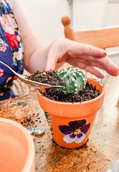 Pot Painting and Planting Workshop