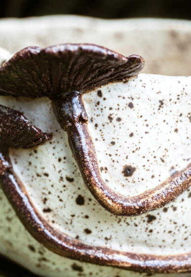 Pottery Hand-building Workshop: Make a Mushroom Mug